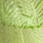 muffins de huevo con verduras y queso