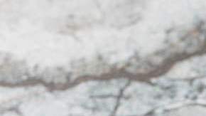 ensalada de fusilli con tomates cherry y maíz