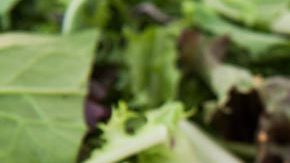 milanesas de berenjena gratinadas