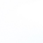 Wrap de pavo y arándanos