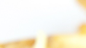 Wrap de pavo y arándanos