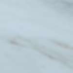 tostadas de nopales con frijol