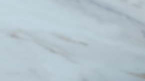 tostadas de nopales con frijol