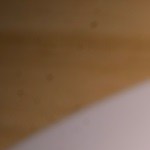 wrap de pollo al curry