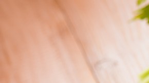 Risotto de Garbanzos con Verduras