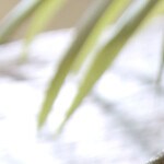 Photo © 2019 The Grosby Group Food Division
Fish with Veggies
fish with vegetables
sunflower oil
half green pepper
half red pepper
1 zucchini
1 onion
3 fish mackerel
pinch of salt
squirt of white wine
bake for 5 min at 350ºf.
add olive oil