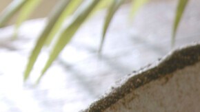 Photo © 2019 The Grosby Group Food Division

Fish with Veggies 

fish with vegetables
sunflower oil
half green pepper
half red pepper
1 zucchini
1 onion
3 fish mackerel
pinch of salt
squirt of white wine

bake for 5 min at 350ºf.

add olive oil