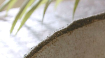 Photo © 2019 The Grosby Group Food Division

Fish with Veggies 

fish with vegetables
sunflower oil
half green pepper
half red pepper
1 zucchini
1 onion
3 fish mackerel
pinch of salt
squirt of white wine

bake for 5 min at 350ºf.

add olive oil