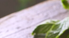 Photo © 2019 The Grosby Group Food Division

Orange, mint and honey

peel and slice 3 oranges

oranges
3 oranges
good squirt of honey

4 tsp of rum

decorate with mint