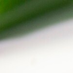 Salsa y betún de chocolate