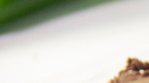 Salsa y betún de chocolate