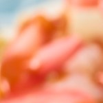 Tostadas de cueritos