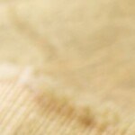 sopa de jitomate con albahaca