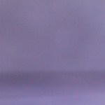 Wrap de pollo a la parrilla con mango