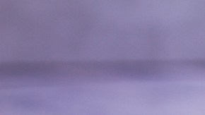 Wrap de pollo a la parrilla con mango