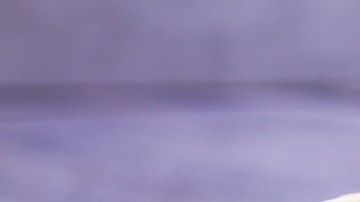 Wrap de pollo a la parrilla con mango