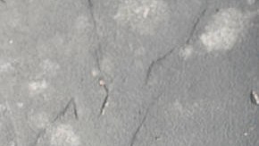 plato de alitas de pollo en salsa hoisin