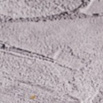 Hígado a la plancha