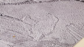 Hígado a la plancha