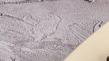 Hígado a la plancha