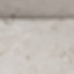 risotto de arándanos