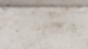 risotto de arándanos