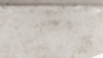 risotto de arándanos