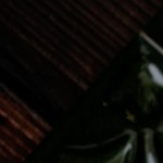 Risotto de tomate y albahaca