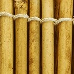 ensalada de cebada y manzana