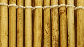 ensalada de cebada y manzana