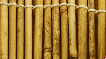 ensalada de cebada y manzana