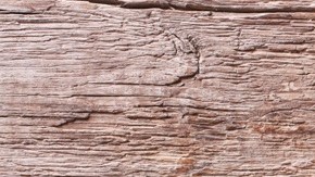 hígado con pimientos