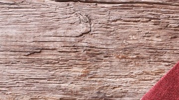 hígado con pimientos