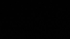 Burrito de pollo avocado ranch