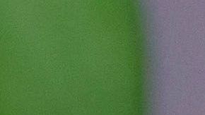 pastel de zanahoria y nueces