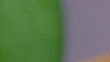 pastel de zanahoria y nueces