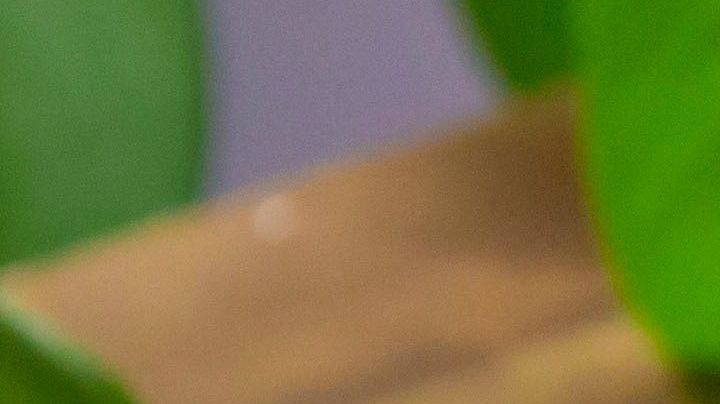 pastel de zanahoria y nueces