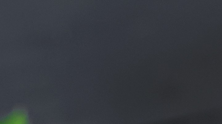 Estofado de cebada y garbanzos