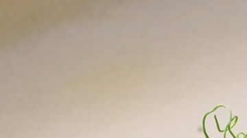 hígado con puré de papas