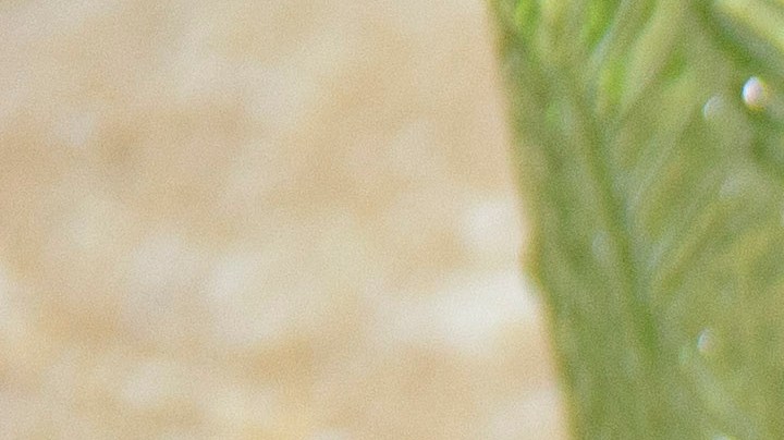 Tortitas de cilantro y queso manchego