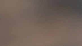 Porridge de cebada con arándanos