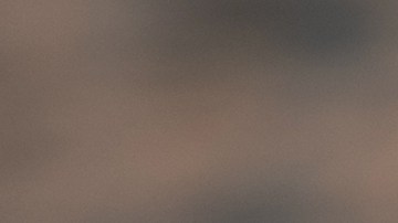 Porridge de cebada con arándanos