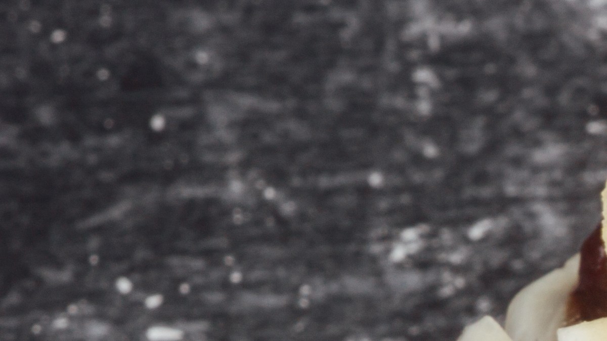 Cómo hacer arepa dominó venezolana