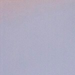 Burrito de camarones y piña