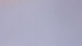 Burrito de camarones y piña