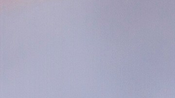 Burrito de camarones y piña