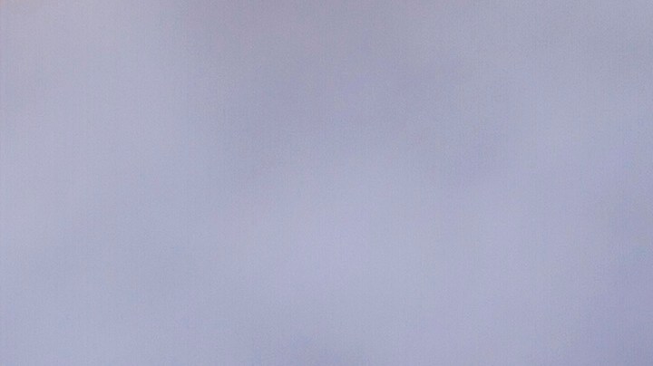 Burrito de camarones y piña