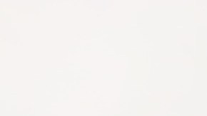 Risotto de alcachofas y setas