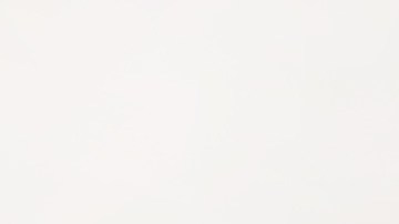 Risotto de alcachofas y setas