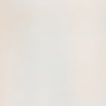 Risotto de camarones y coco